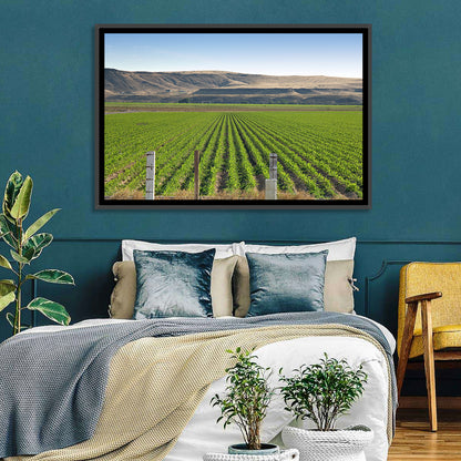 Idaho Corn Field Wall Art