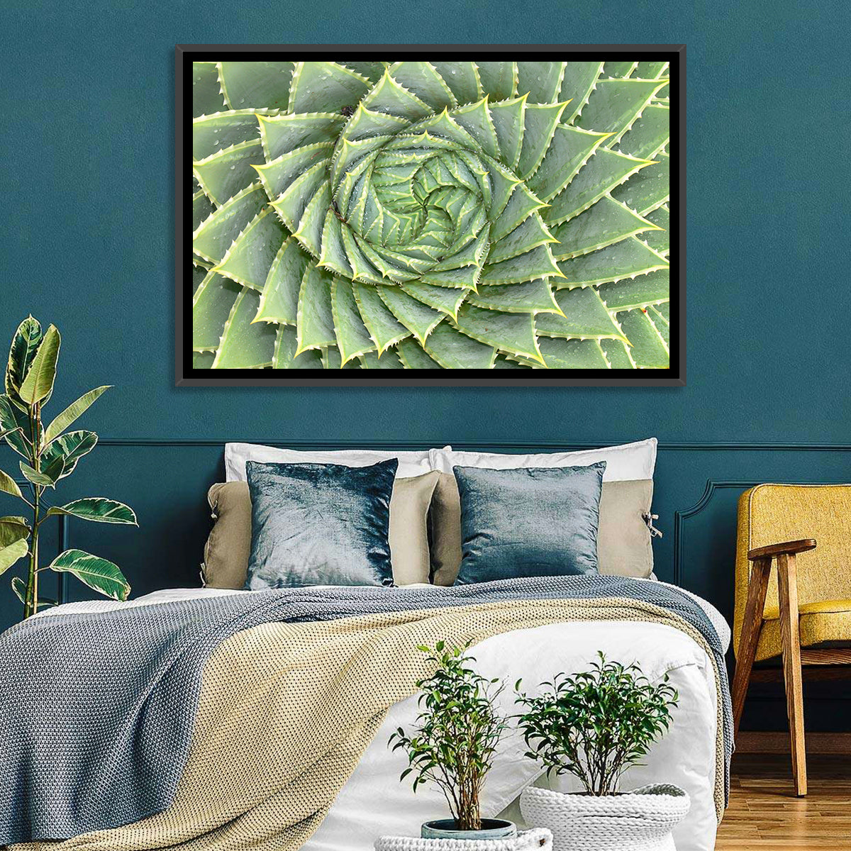 Spiral Aloe Close-up Wall Art