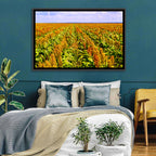 Sorghum Field Wall Art