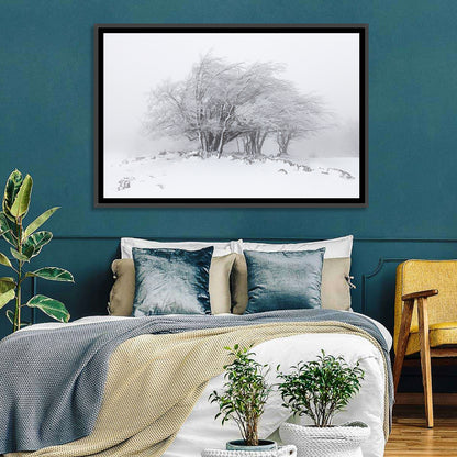 Rime Coated Winter Trees Wall Art