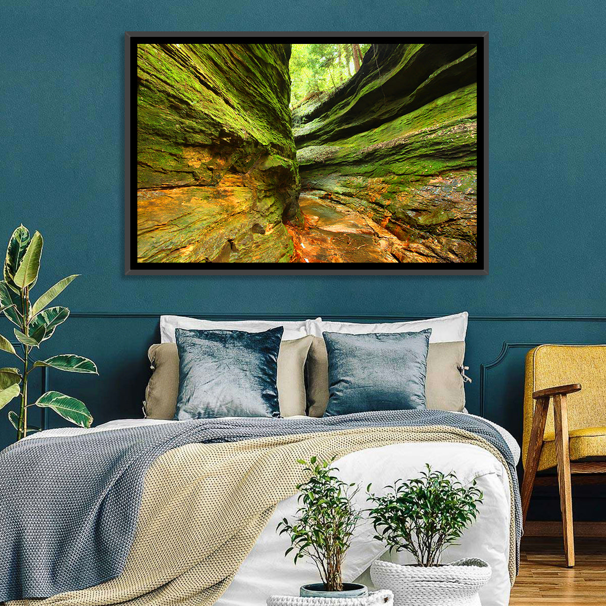 Turkey Run State Park Canyon Wall Art