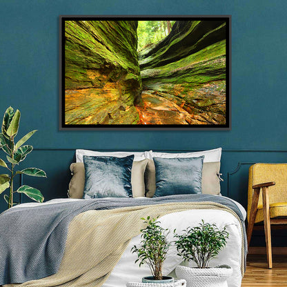 Turkey Run State Park Canyon Wall Art