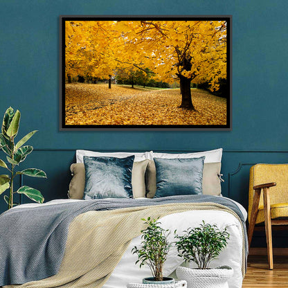 Baltimore Autumn Foliage Wall Art