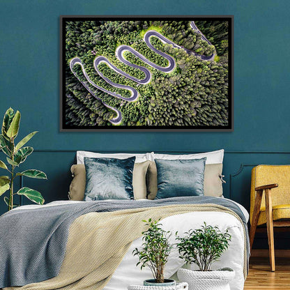 Serpentine Mountain Road Wall Art