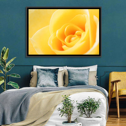 Soft-lit Yellow Rose Close-up Wall Art