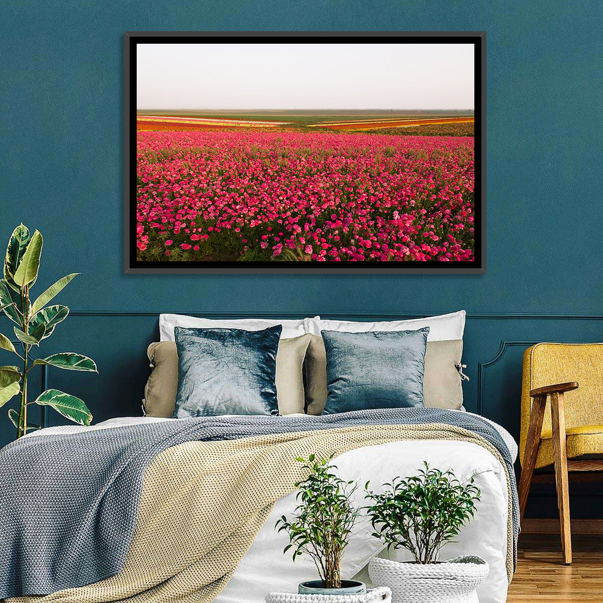 Pink Ranunculus Flower Field Wall Art in a room, landscape
