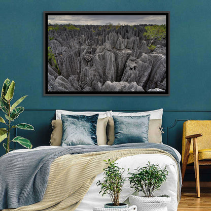 Tsingy De Bemaraha Pinnacles Wall Art