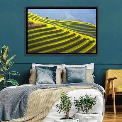 Mu Cang Chai Rice Terraces Wall Art