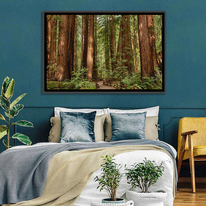 Muir Woods Redwood Trail Wall Art