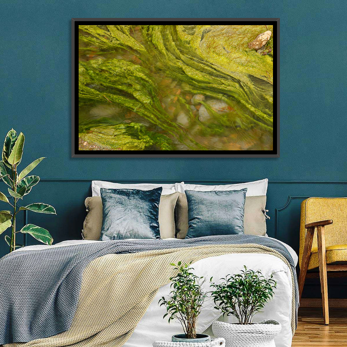 Macro Algae Stream Wall Art in a room, landscape