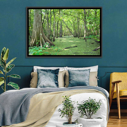 Summer Cypress Bayou, Louisiana Wall Art