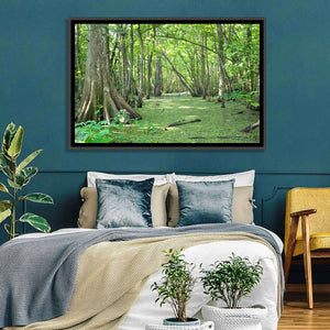 Louisiana Cypress Bayou Wall Art