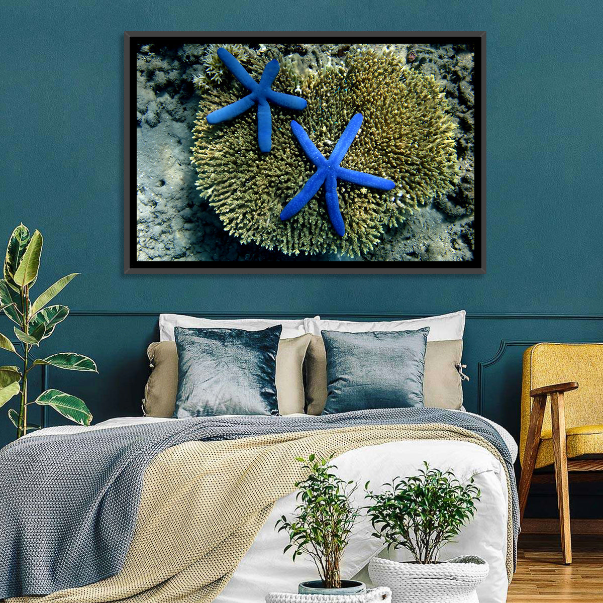 Blue Starfish Wall Art in a room, landscape