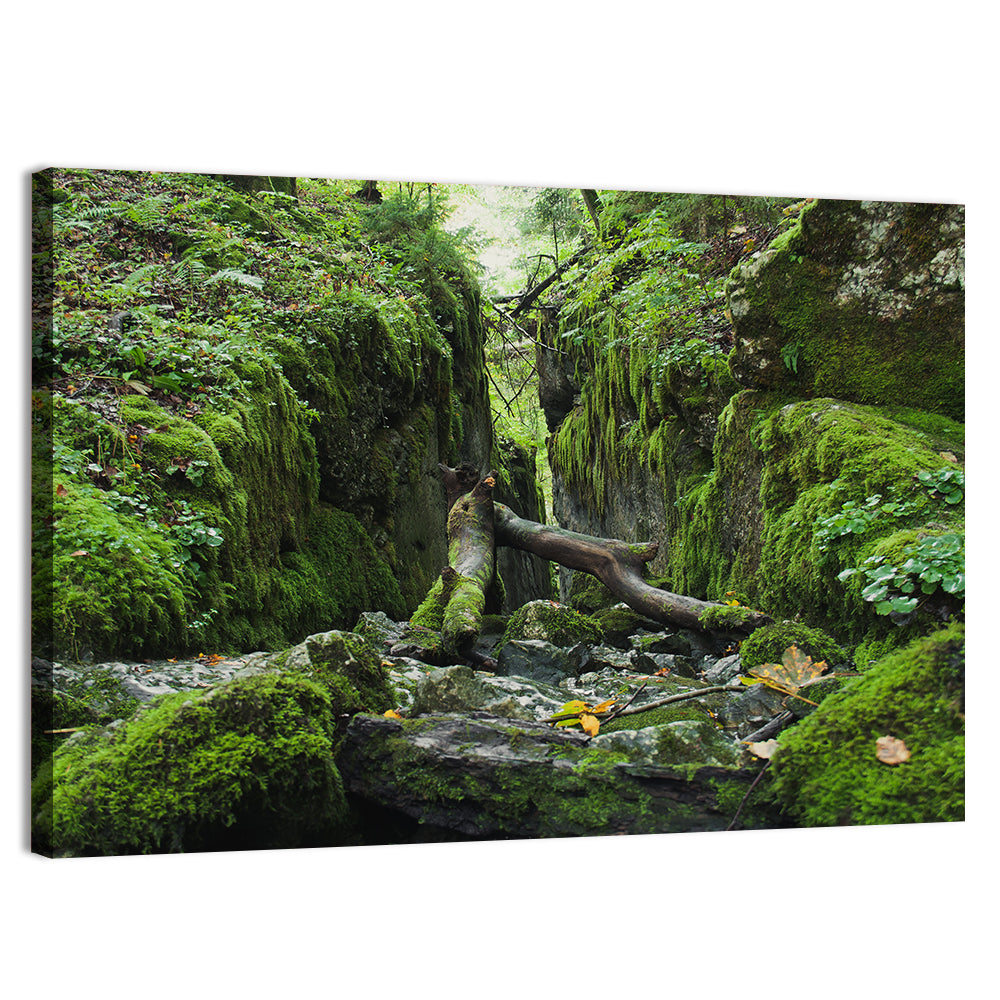 Kammersee Mossy Cleft Wall Art, canvas print, landscape