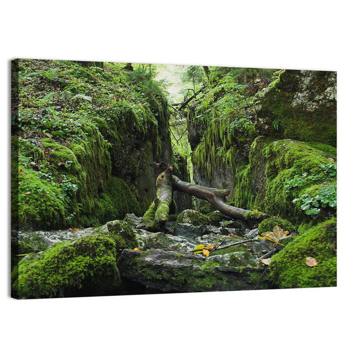 Kammersee Mossy Cleft Wall Art as a canvas print
