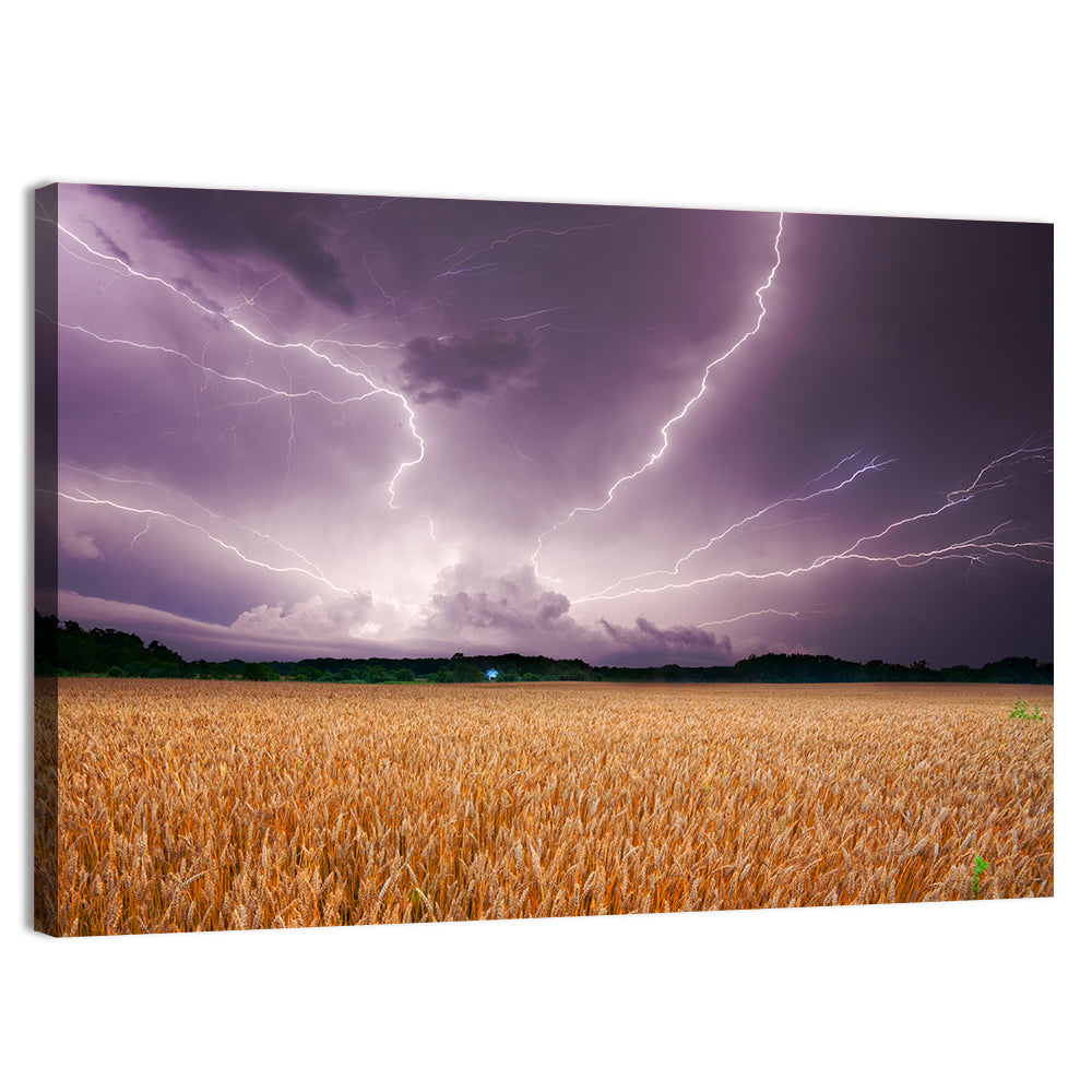 Lightning Over Wheat Field Wall Art, canvas print, landscape
