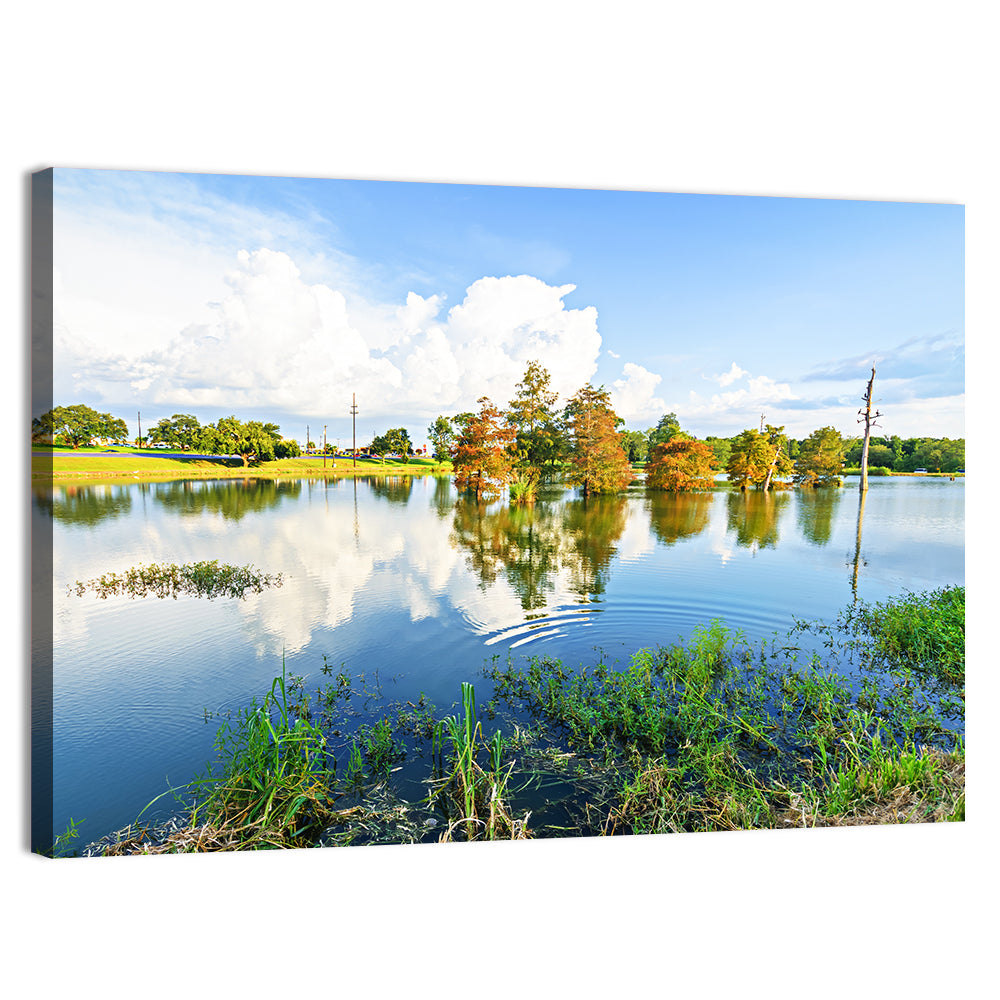 Lafayette Bayou Reflection Wall Art