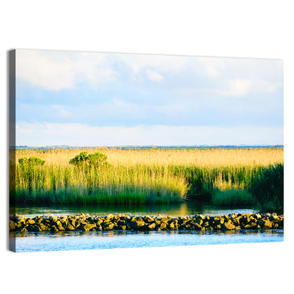 Louisiana Bayou Marsh at Golden Hour Wall Art