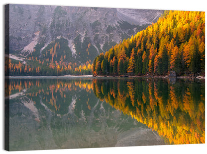 Braies Lake Golden Reflection Wall Art