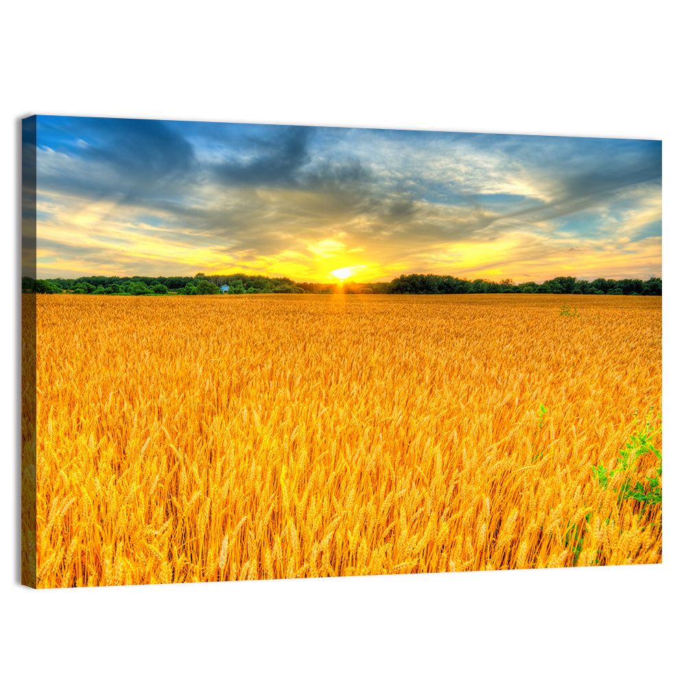 Wheat Field Sunset Wall Art, canvas print, landscape