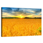 Wheat Field Sunset Wall Art