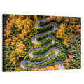Autumn Winding Forest Road Wall Art