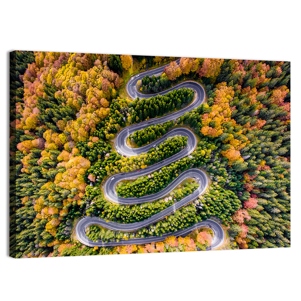 Autumn Winding Forest Road Wall Art, canvas print, landscape