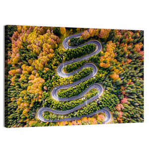 Winding Forest Road Wall Art