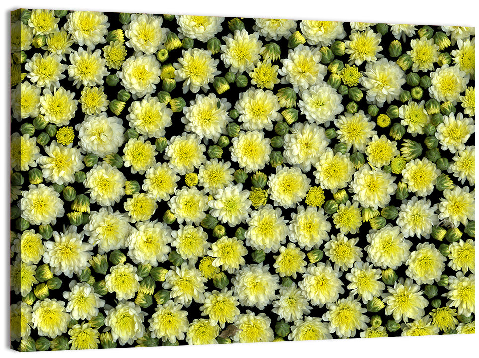 Yellow Chrysanthemum Bloom Pattern Wall Art, canvas print, landscape