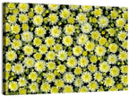 Yellow Chrysanthemum Bloom Pattern Wall Art