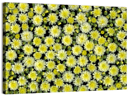 Blooming Spring Flowers Wall Art