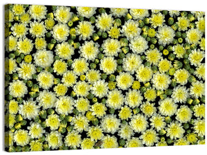 Blooming Spring Flowers Wall Art