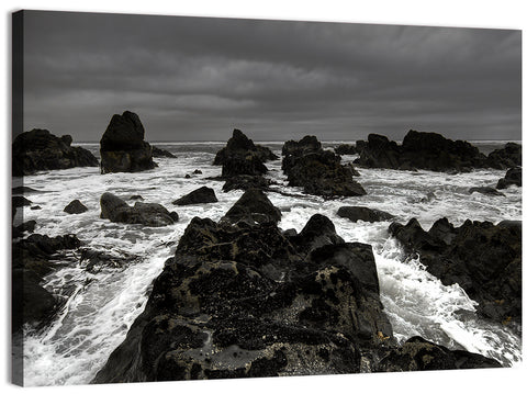Moody Black and White Rocky Coast Waves Wall Art