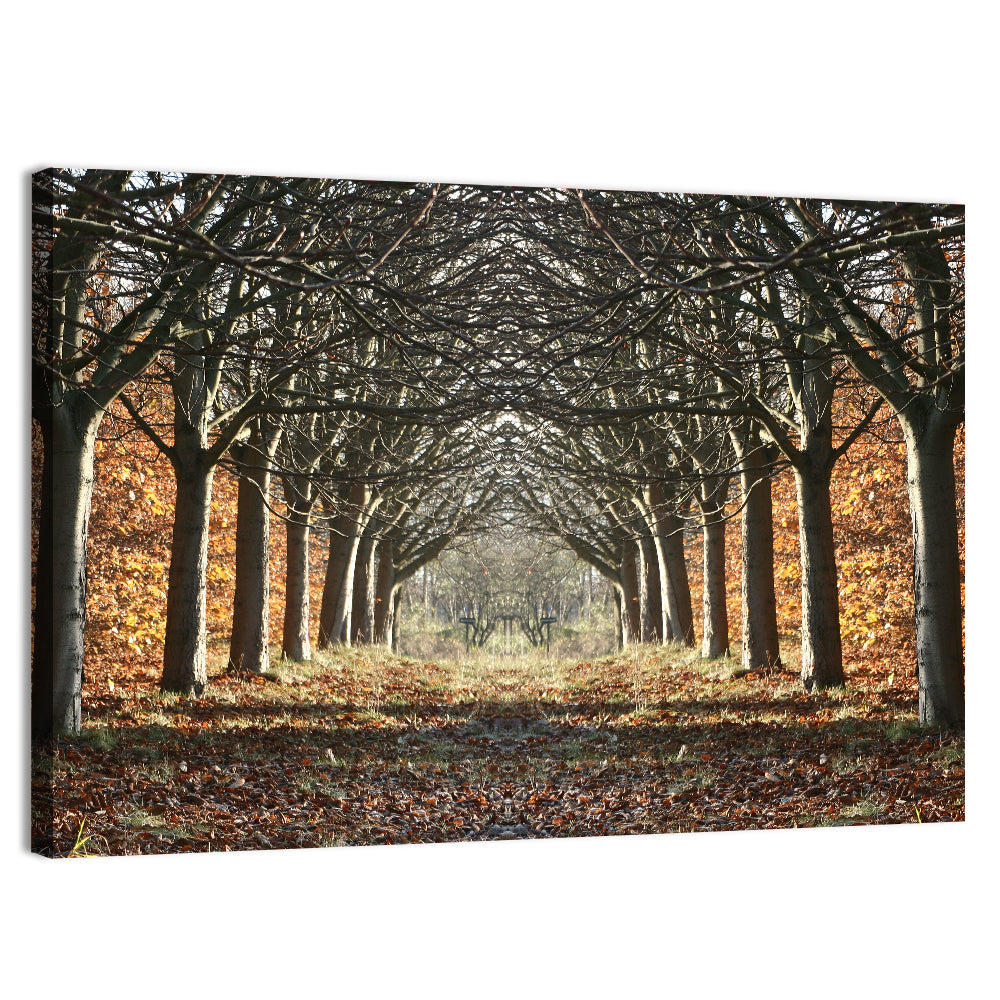 Danish Autumn Tree-lined Path Wall Art, canvas print, landscape