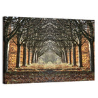 Danish Autumn Tree-lined Path Wall Art