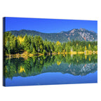 Autumn at Gold Lake Wall Art