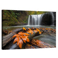 Clackamas Waterfall with Maple Leaf Wall Art