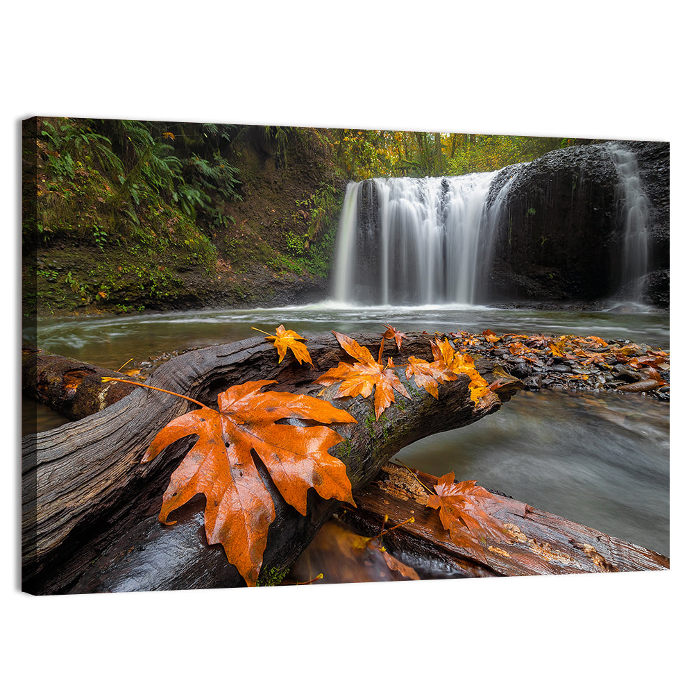 Clackamas Waterfall with Maple Leaf Wall Art, canvas print, landscape