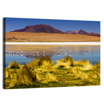 Flamingos on Salt Lake Wall Art