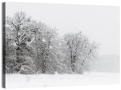 Snow-covered Trees in Fog Wall Art
