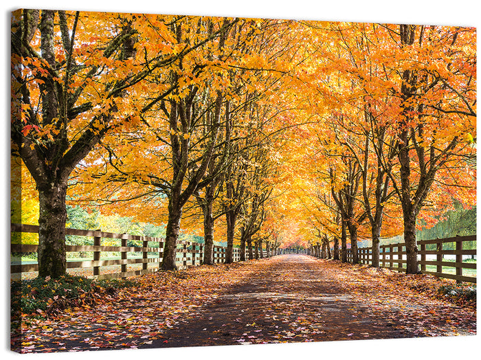 Maple Lane in Autumn Wall Art as a canvas print