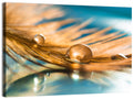 Golden Feather with Droplets Wall Art