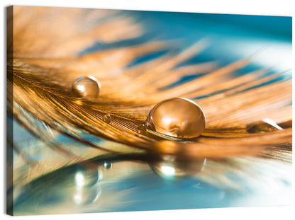 Golden Feather with Droplets Wall Art