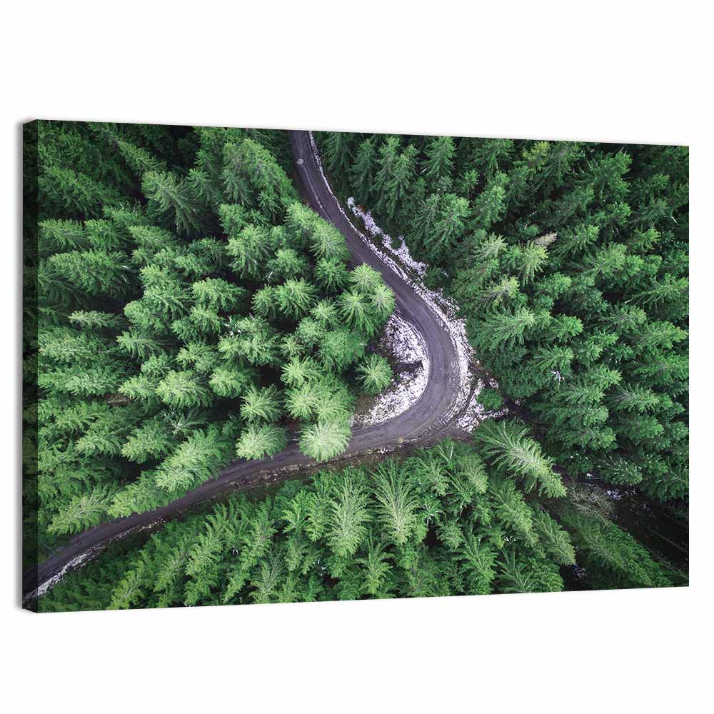 Aerial Forest Road Wall Art