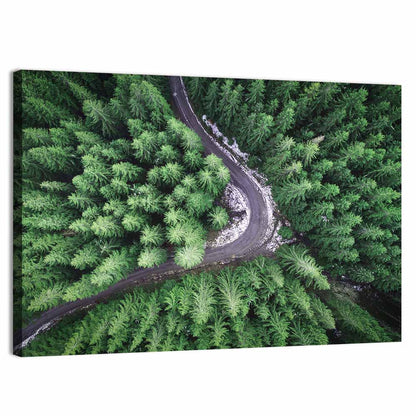 Aerial Forest Road Wall Art