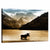 Moose In Waterton Lake Wall Art