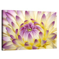 Dahlia Macro Portrait Wall Art