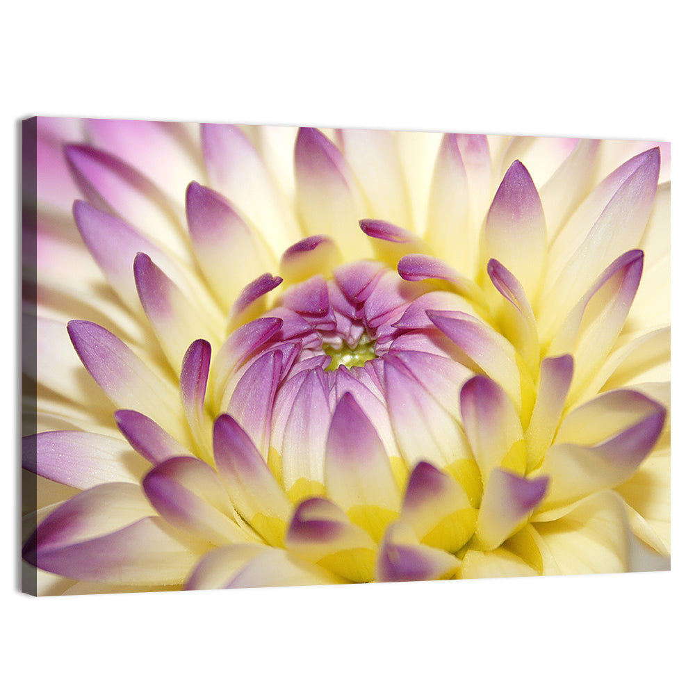Dahlia Macro Portrait Wall Art