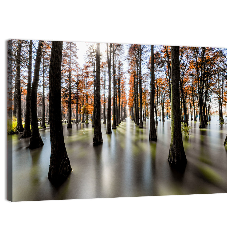 Autumn Flooded Cypress Forest Wall Art