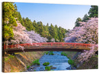 Arched Red Bridge with Cherry Blossoms Wall Art